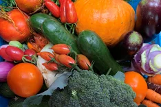 Bio-Gärtnerei engagiert sich für Sortenvielfalt im Gartenbau