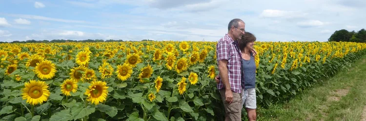 Mann und Frau vor Sonnenblumenfeld
