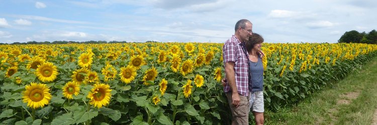 Mann und Frau vor Sonnenblumenfeld