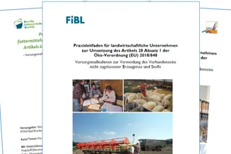 Grafik zu Leitfäden für Landwirtschaft, Verarbeitung und Handel/Import.