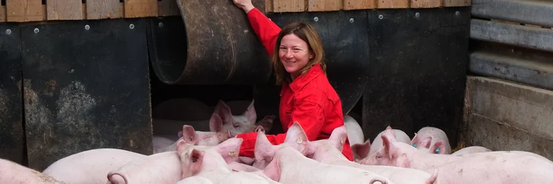 Schweinehalterin mit Tieren.