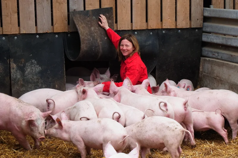 Schweinehalterin mit Tieren.