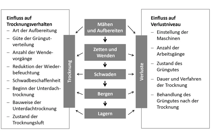 Grafik zur Verfahrenskette bei der Heuwerbung. Klick führt zu Großansicht im neuen Fenster.