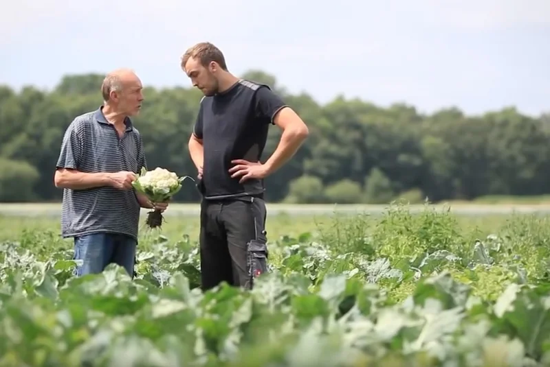 Johannes und Maximilian Finke auf dem Feld mit Blumenkohl