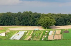 Biointensiver Gemüsebau