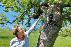 Eine Frau zeigt auf einen Baumstamm