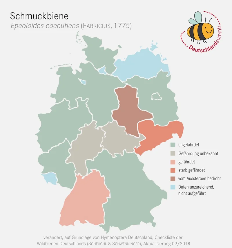 Nachweiskarte und Gefährdung der Schmuckbiene. Klick führt zu Großansicht in einer Lightbox. Zum Schließen der Lightbox ESC drücken.