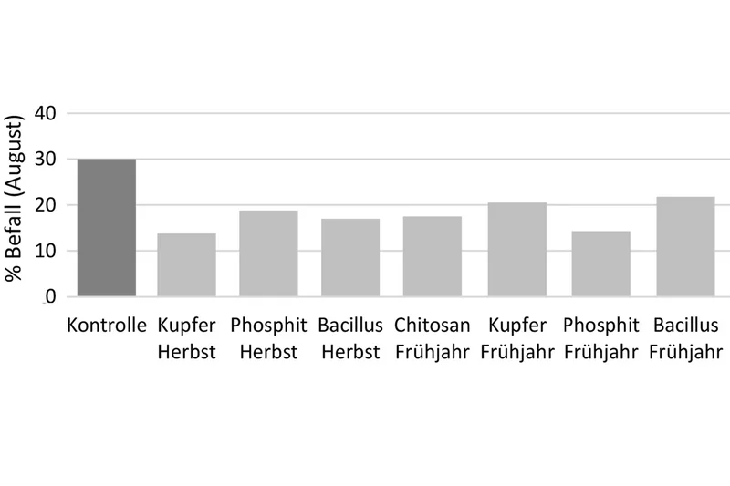 Grafik zur Reduzierung des Phytophthora-Blattbefalls. Klick führt zu Großansicht in neuem Fenster.