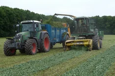 Was ist Transfermulch?