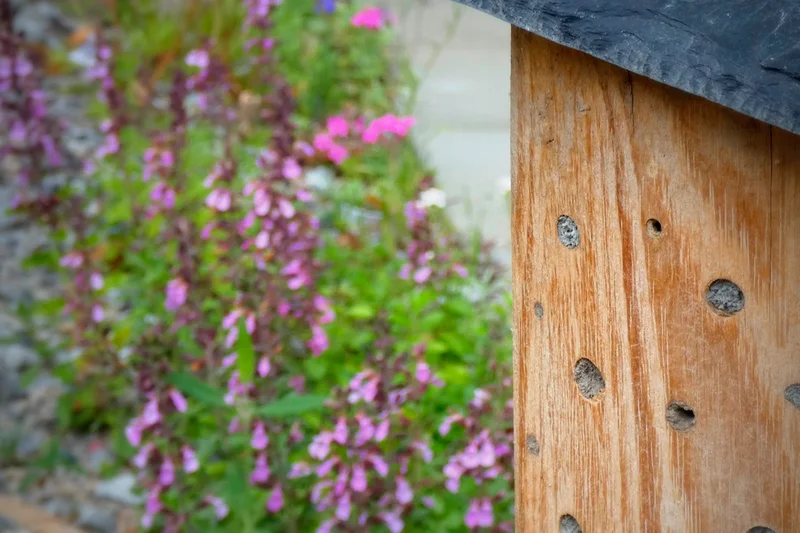 Wildbienennisthilfe. Klick führt zu Großansicht im neuen Fenster.