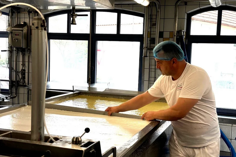 Mann bearbeitet den Käse in einer großen Wanne.