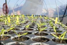 Deutscher Innovationspreis Gartenbau: Bio-Gärtnerei Herb für konsequente Torfminderung ausgezeichnet