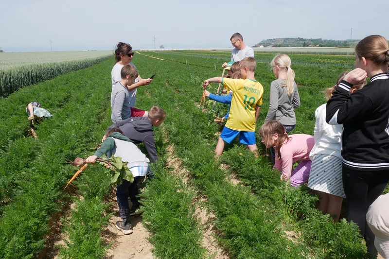 Kinder auf einem Feld eines Bio-Hofes. Klick führt zu Großansicht in neuem Fenster.