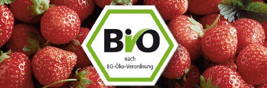 Bio-Siegel vor Erdbeeren