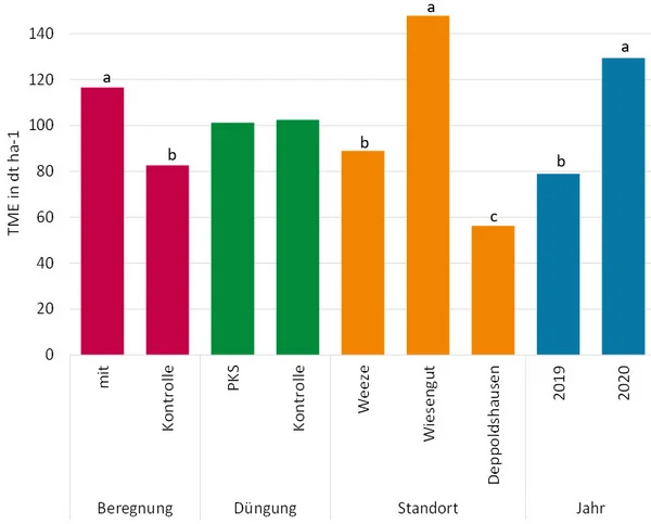 Säulendiagramm