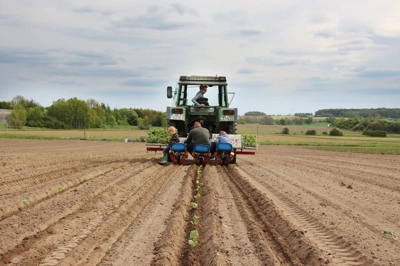 Traktor auf dem Feld