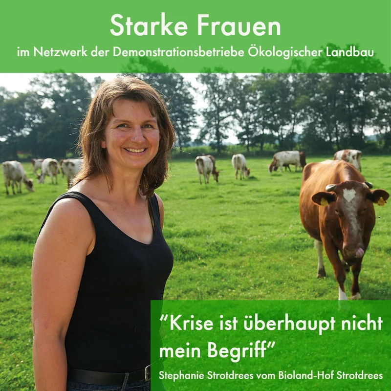 Stephanie Strotdrees auf einer Rinderweide
