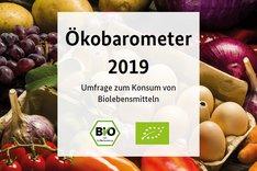 Cover des Ökobarometer 2019