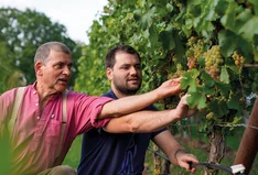 Weingut Rummel