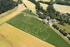 Bis zum 18. Oktober: Auf Entdeckungstour im Hanflabyrinth des Klosterguts Maria Laach