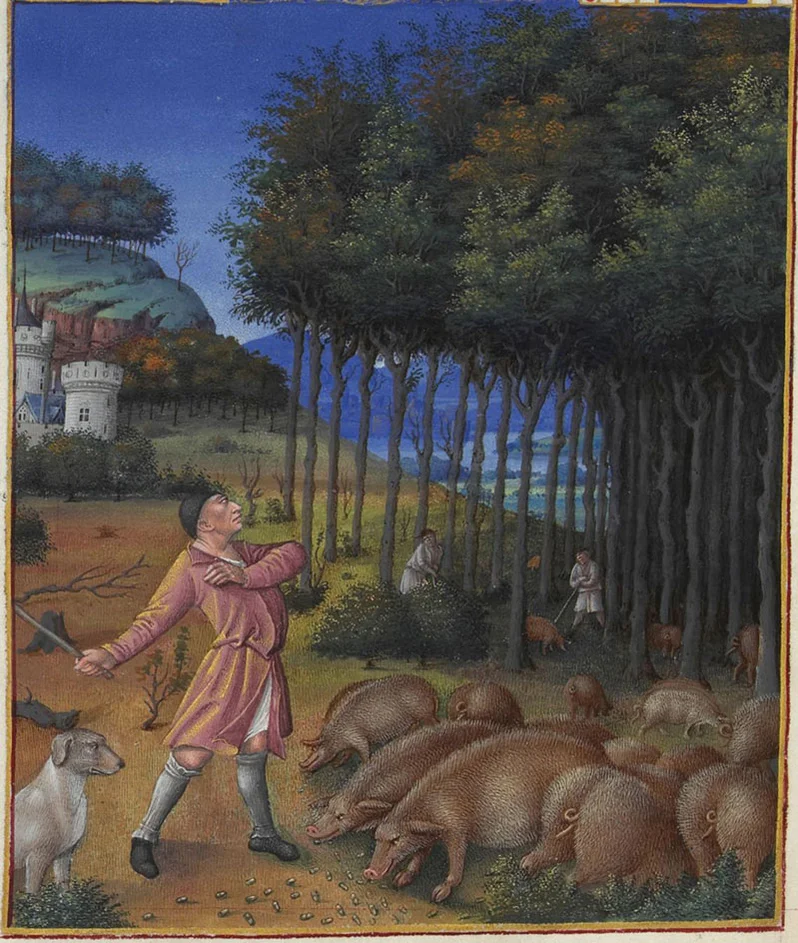 Historische Illustration zeigt einen Hirten mit Schweinen in einem Wald. Klick fürht zu Großansicht in neuem Fenster, schließen per ESC.
