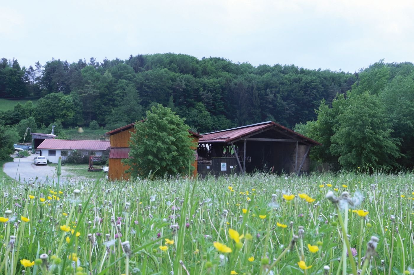 Hof mit blühender Wiese im Vordergrund