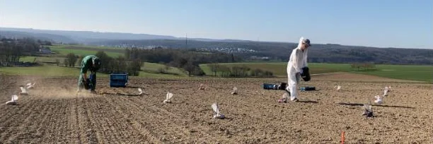 Zwei Menschen auf einem Feld