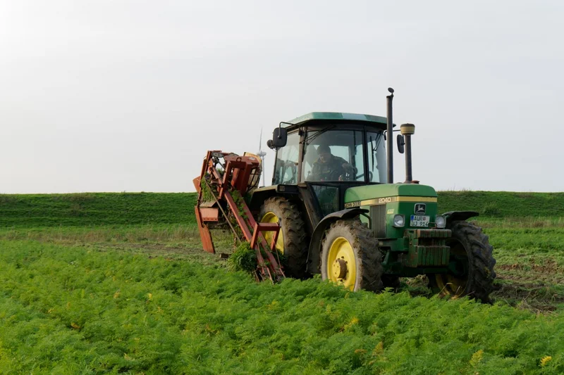 Traktor auf Feld