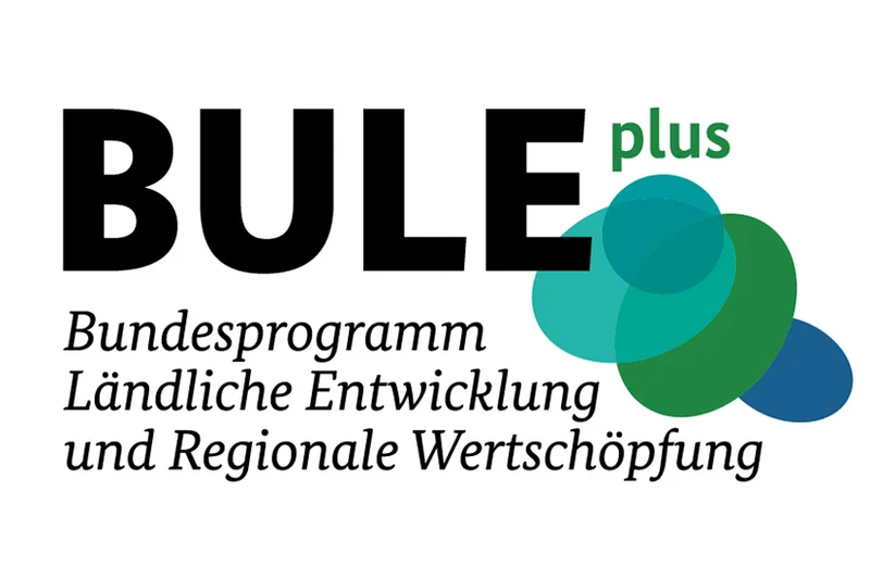 Logo BULEplus.