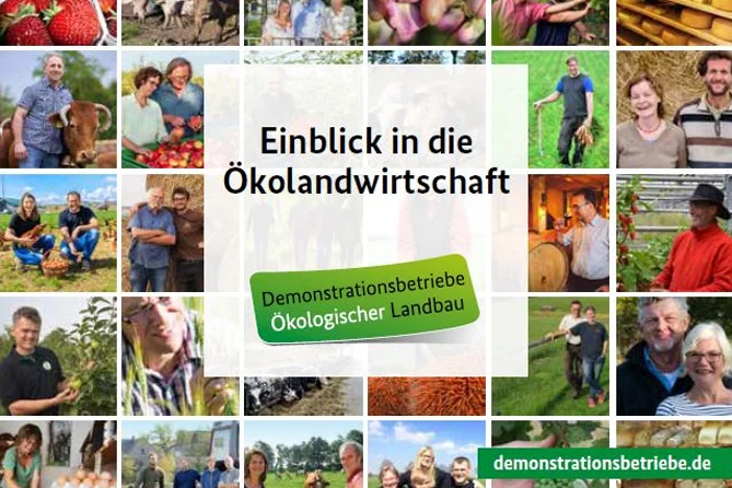 Cover der Broschüre Einblick in die Ökolandwirtschaft