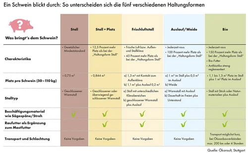 Übersichtstabelle Staatliches Tierhaltungskennzeichen. Klick führt zu Großansicht in neuem Fenster.