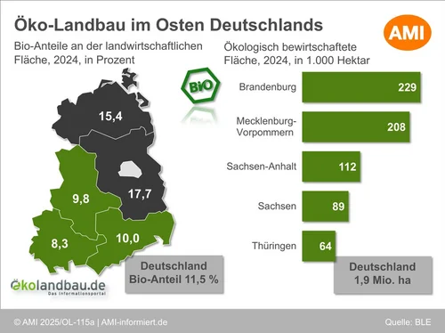 Die Abbildung zeigt die Bio-Anteile an der landwirtschaftlichen Flä-che als Kartendiagramm im Jahr 2024 in Prozent und die ökologisch bewirtschaftete Fläche als Balkendiagramm im Jahr 2024 in 1.000 Hektar. Klick führt zu Großansicht in neuem Fenster, schließen per ESC.