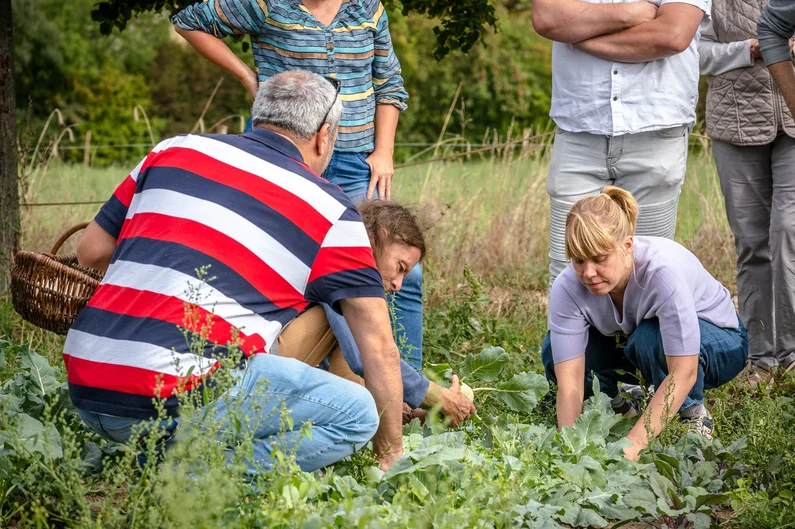 Menschen hocken zwischen Gemüsepflanzen