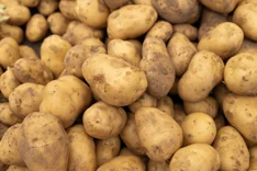 Bio-Kartoffeln: Markt, Preisentwicklung und Versorgung