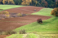 Mit Verpachtung kommunaler Flächen den Ökolandbau fördern
