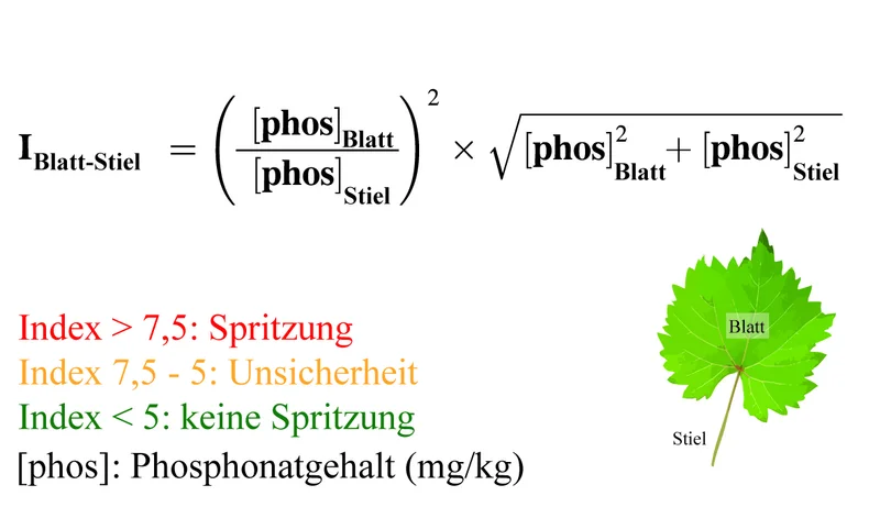 Grafik zum Index zur Differenzierung von Blatt- oder Bodenaufnahme. Klick führt zu Großansicht im neuen Fenster.