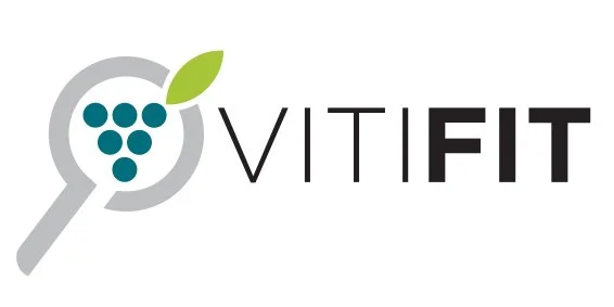 Logo VITIFIT.