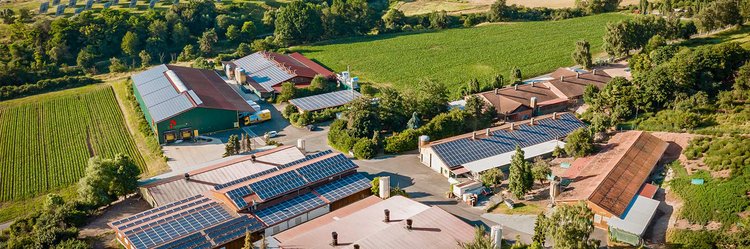 Solardächer und hoch Solarpaneele auf Hühnerweide.