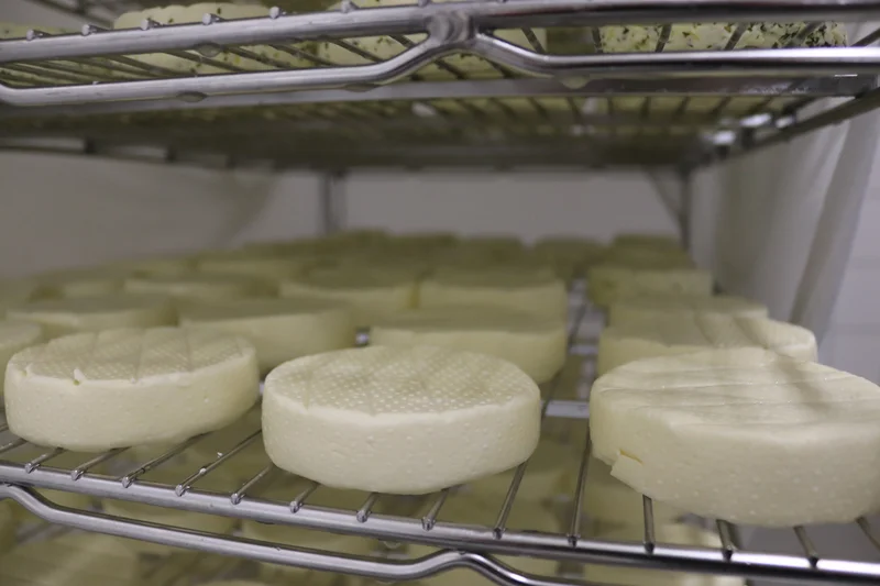 Käse liegt im Regal. Klick führt zu Großansicht in neuem Fenster.