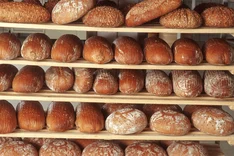 Welche Zusatzstoffe sind in Bio-Lebensmitteln erlaubt?