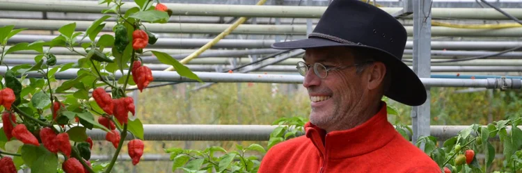 Christian Herb vor Tulpenpaprika im Gewächshaus