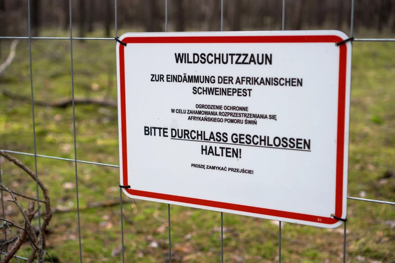 Ein Schild mit dem Hinweis „Wildschutzzaun – Zur Eindämmung der Afrikansichen Schweinepest“ ist an einem solchen befestigt. Klick führt zu Großansicht in neuem Fenster.