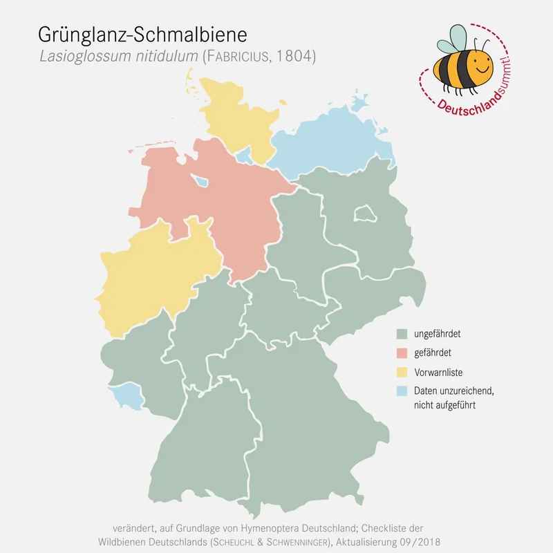 Nachweiskarte und Gefährdung der Grünglanz Schmalbiene. Klick führt zu Großansicht in einer Lightbox. Zum Schließen der Lightbox ESC drücken.