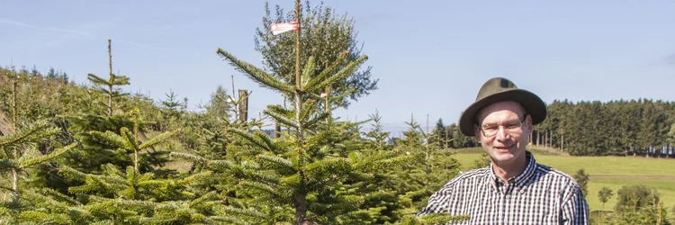 Mann auf einem Weihnachtsbaumfeld