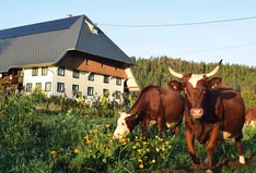 Mathislehof
