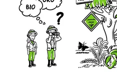 Wie erkenne ich Bio-Lebensmittel?