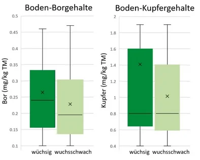 Zwei Balkendiagramme nebeneinander. Links sind die Borgehalte und rechts die Kupfergehalte wüchsiger und wuchsschwacher Flächen zu sehen. Klick führt zu Großansicht.