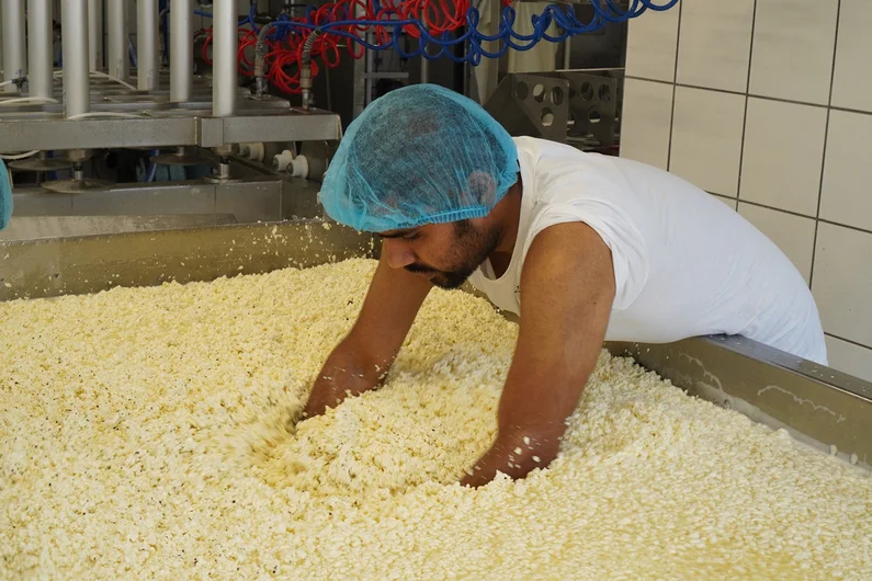 Mann greift mit beiden Armen in flockigen Käse.