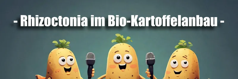 Rhizoctonia im Bio-Kartoffelanbau