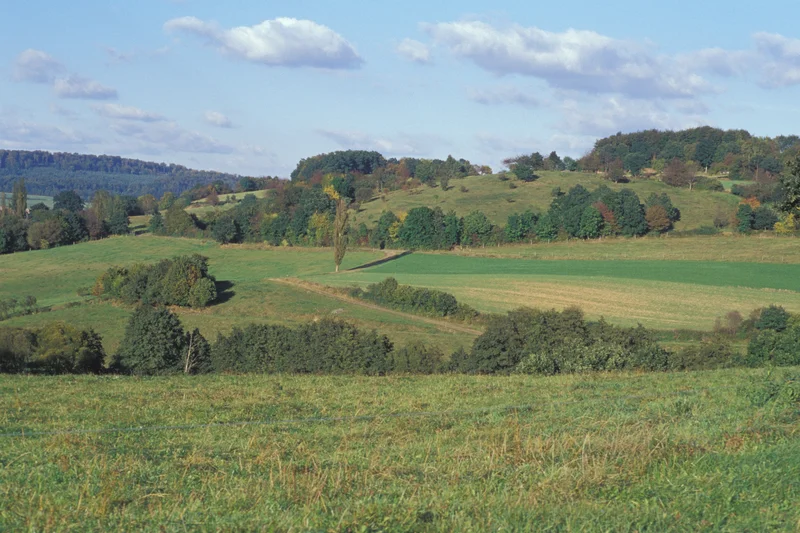 Agrarlandschaft